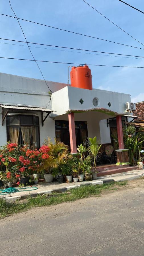 Owl Hostel Karimunjawa Buitenkant foto